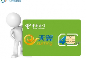 号段为172开头的电信物联卡官网是多少？