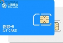 智慧校园带来了哪些便捷？一文带你了解物联卡在其中发挥的作用